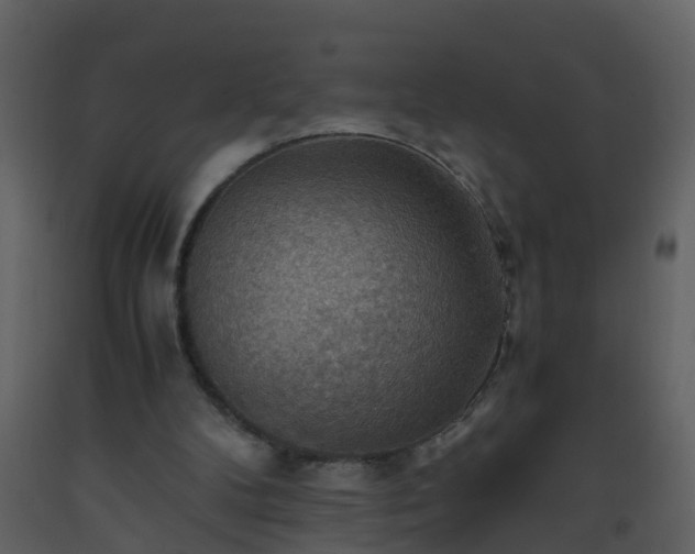 X0000093590104200710221531