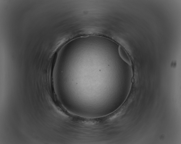 X0000093590105200710221531