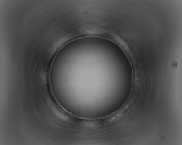 X0000093590106200710221531