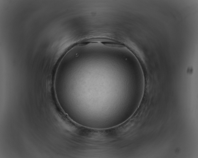 X0000093590107200710221531