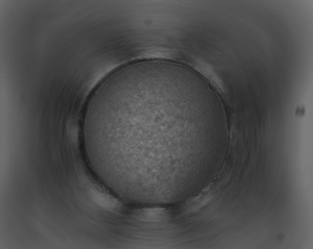 X0000093590108200710221531