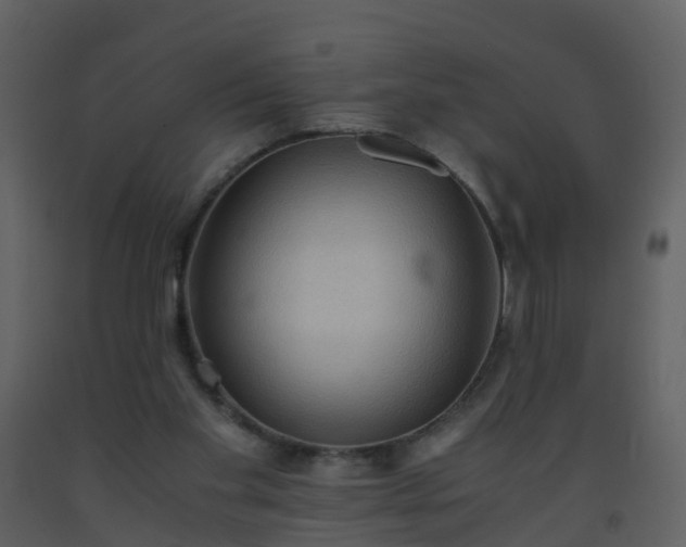 X0000093590109200710221531