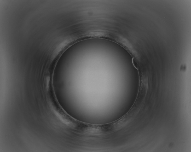 X0000093590110200710221531
