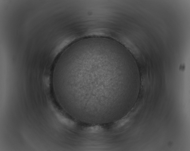 X0000093590112200710221531