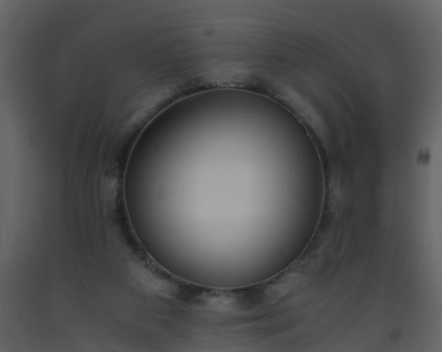 X0000093590113200710221531