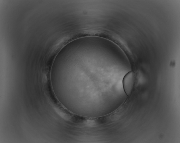 X0000093590114200710221531