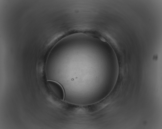 X0000093590115200710221531