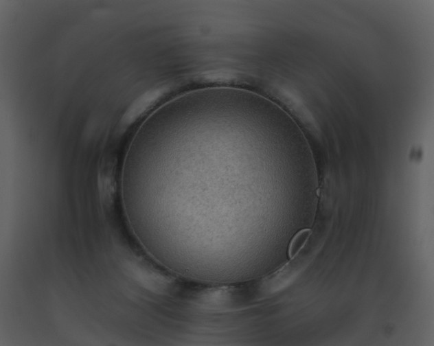 X0000093590116200710221531