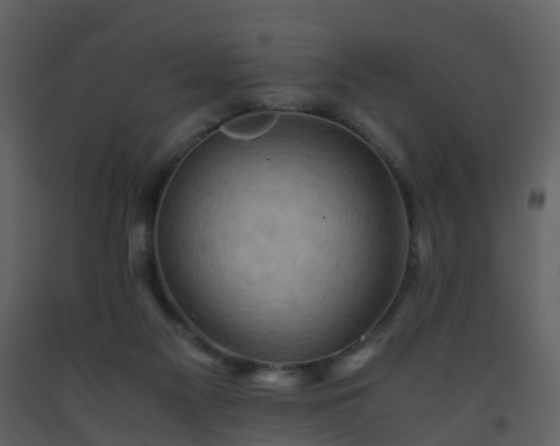 X0000093590117200710221531