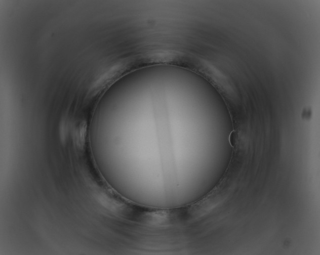 X0000093590118200710221531