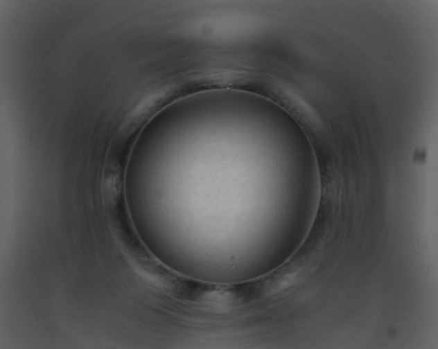 X0000093590119200710221531