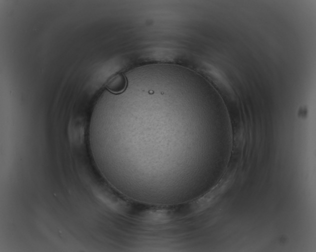 X0000093590120200710221531