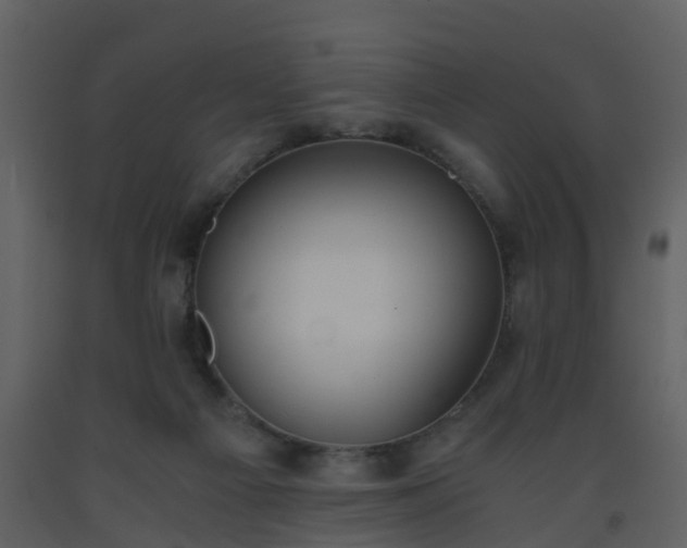 X0000093590121200710221531