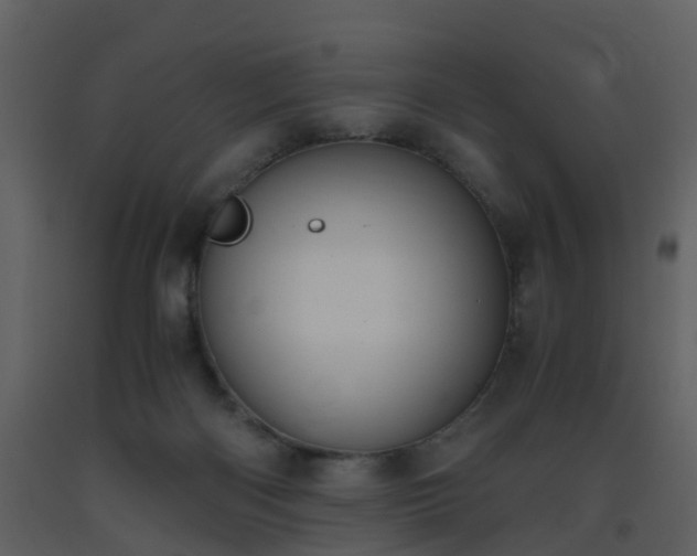 X0000093590122200710221531
