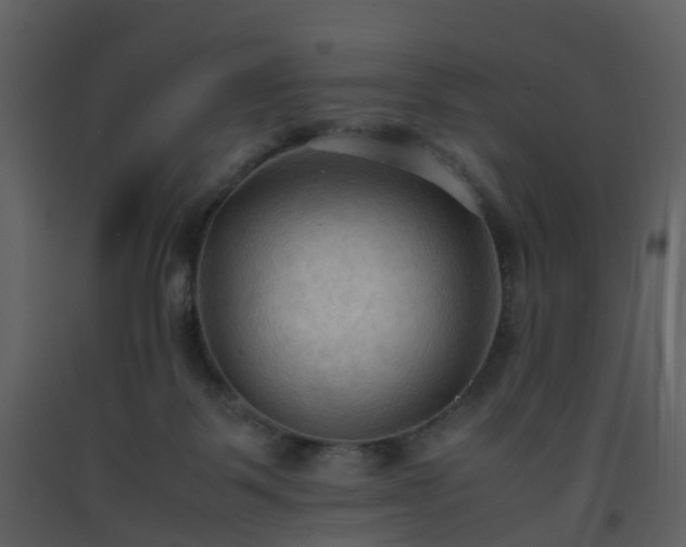 X0000093590123200710221531