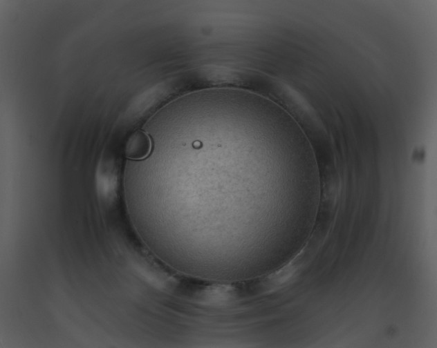 X0000093590124200710221531