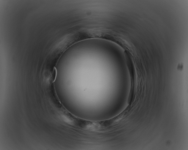 X0000093590125200710221531