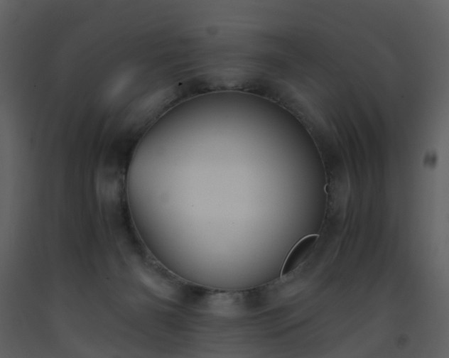 X0000093590126200710221531