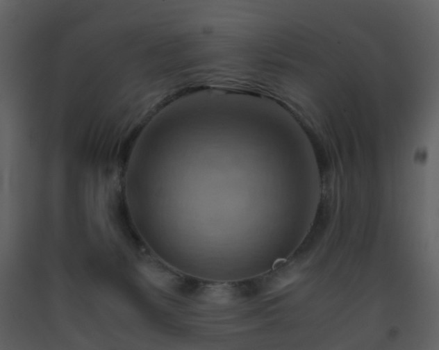 X0000093590127200710221531