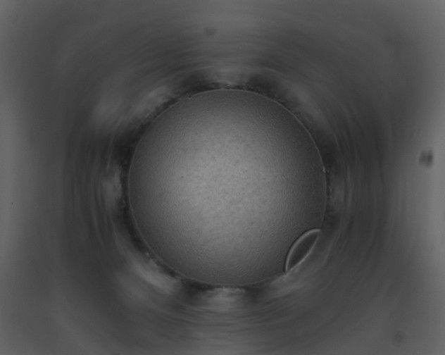 X0000093590128200710221531