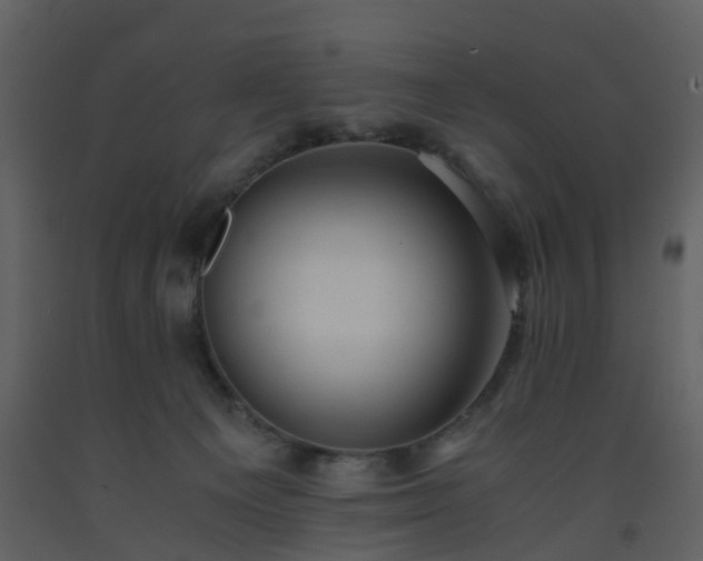X0000093590129200710221531