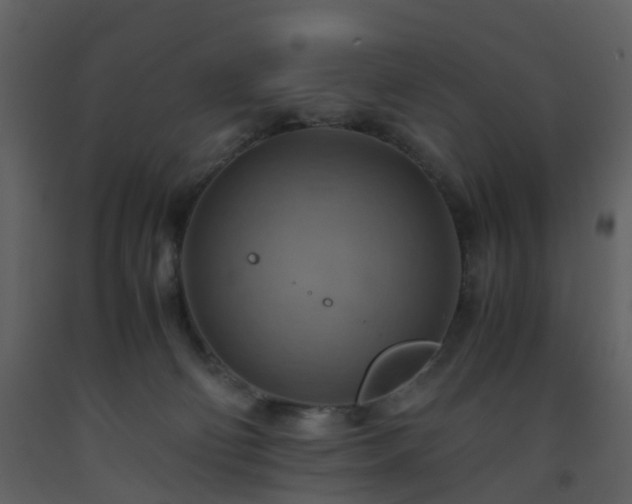 X0000093590130200710221531