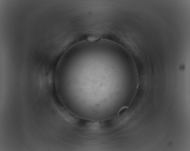 X0000093590131200710221531