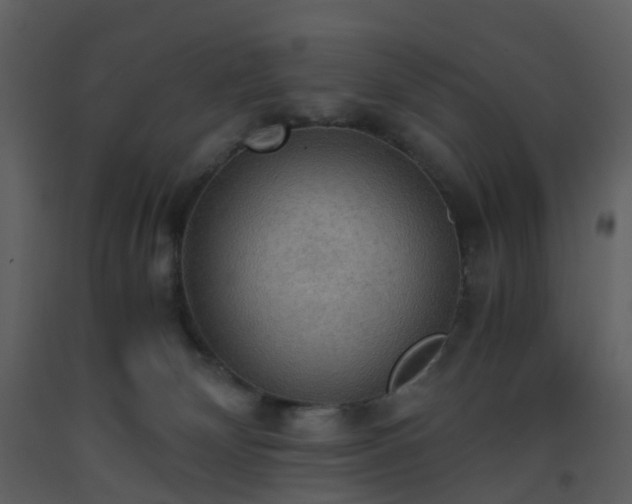 X0000093590132200710221531