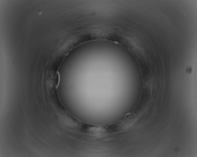 X0000093590133200710221531
