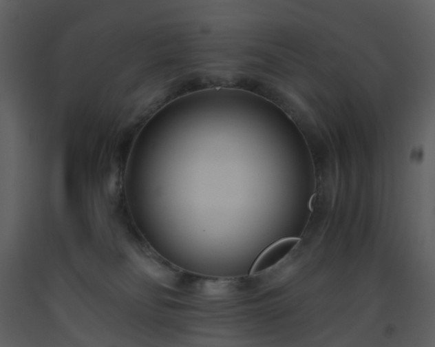 X0000093590134200710221531