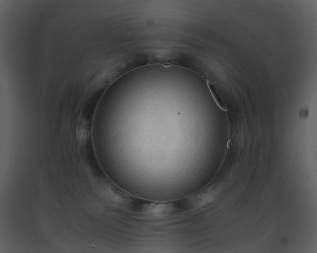 X0000093590135200710221531