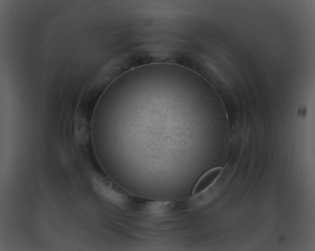 X0000093590136200710221531