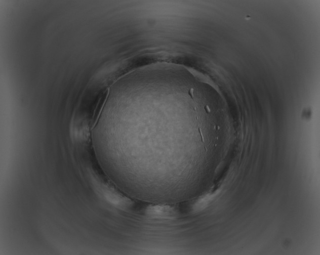 X0000093590137200710221531