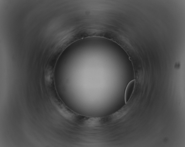 X0000093590138200710221531