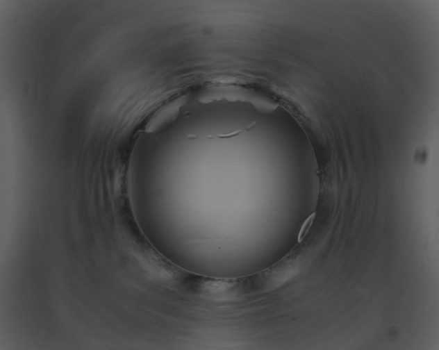 X0000093590139200710221531