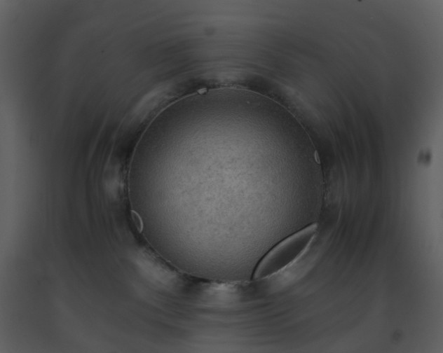X0000093590140200710221531