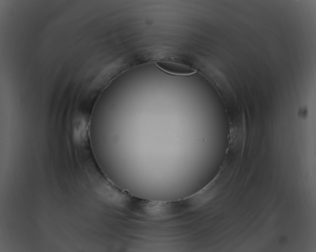 X0000093590142200710221531