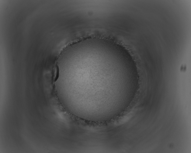 X0000093590144200710221531