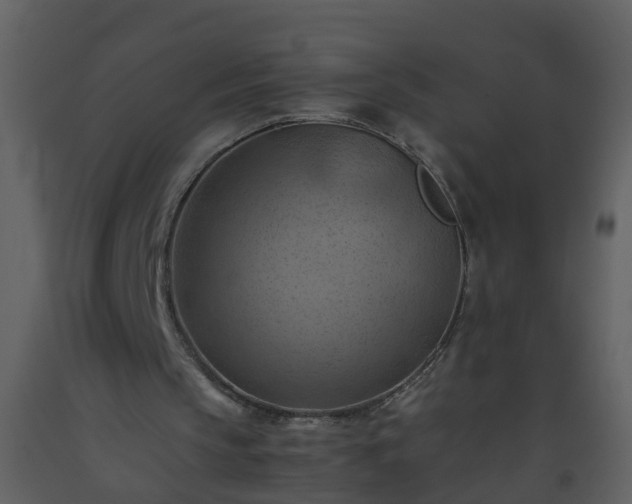 X0000093590145200710221530