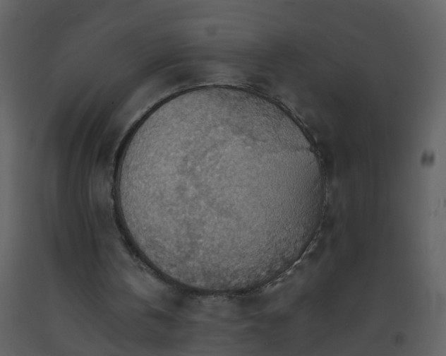 X0000093590146200710221530