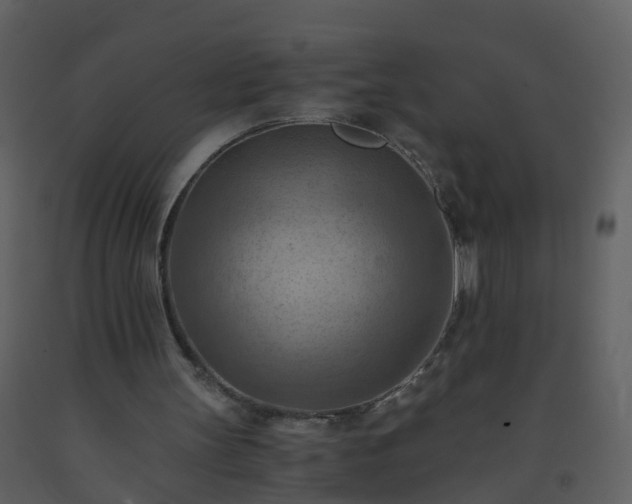 X0000093590147200710221530