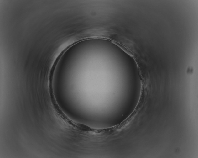 X0000093590148200710221530