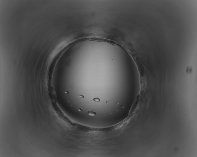 X0000093590150200710221530