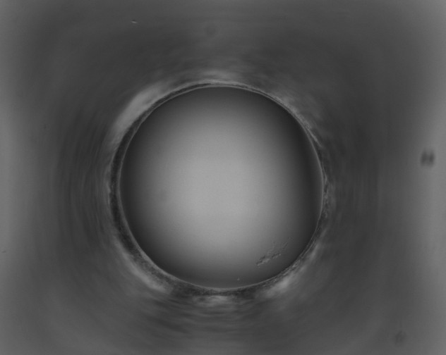X0000093590151200710221530