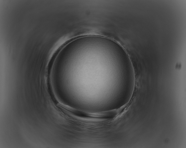 X0000093590152200710221530