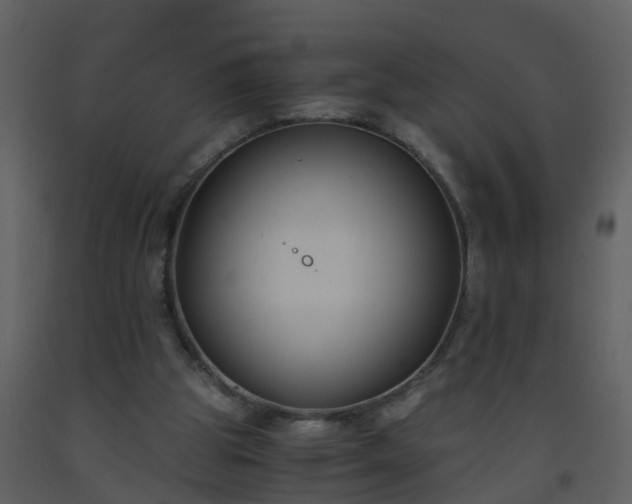 X0000093590153200710221530
