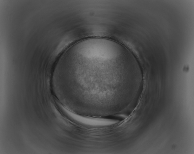 X0000093590154200710221530
