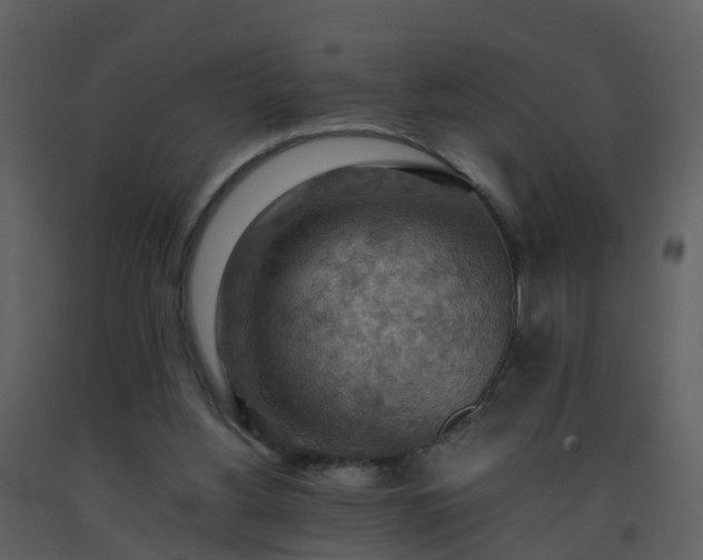 X0000093590156200710221530
