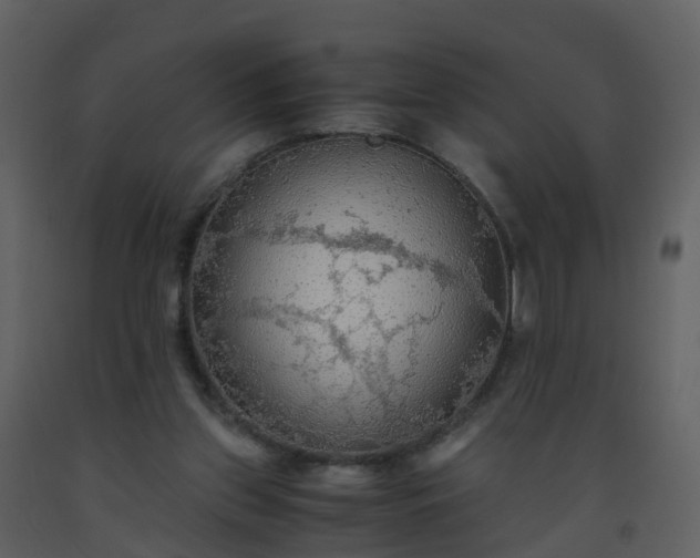 X0000093590157200710221530