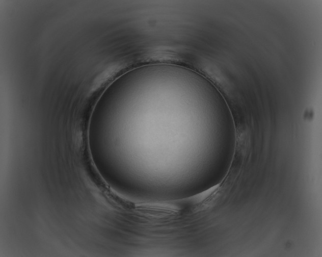 X0000093590158200710221530
